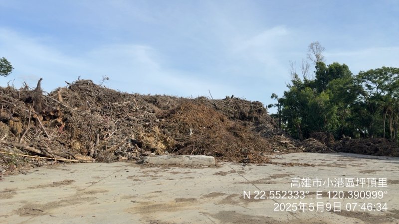 114年度高雄市小港公七山陀兒颱風災害等廢木材載運及處理工作(開口契約)