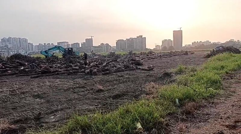 113年度山陀兒颱風橋頭區